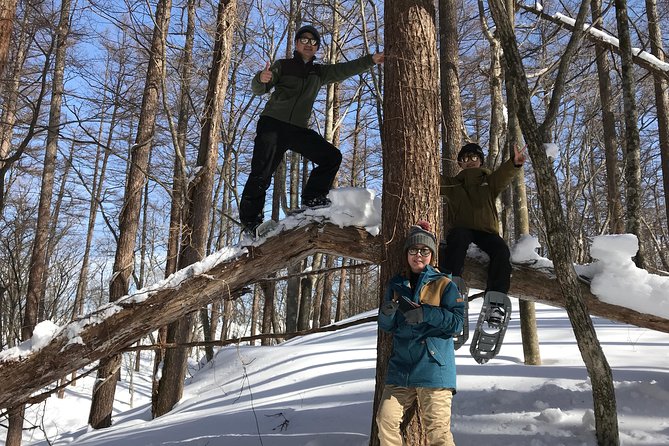 【5 Minutes From Water Ic】 Snow Trekking Half-Day Tour to Enjoy Japanese Snowscapes - Booking Details and Policies