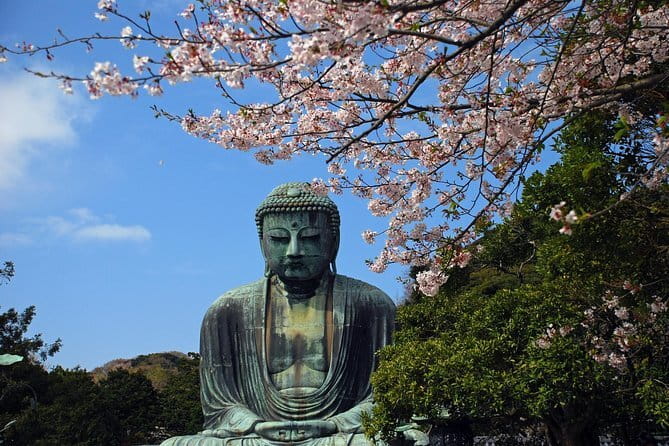 【Explore Kamakura – Private 3 Hour】 Guided Walking Tour Special - Highlights of the Tour