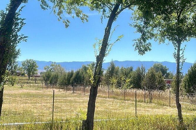 EBIKE Winery Tour in Penrose Review - Accessibility and Restrictions