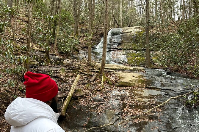 Elijay Hike W/ Waterfall & Wine Tasting Review - Accessibility and Health Considerations