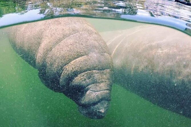 Everglades National Park Tour Review - Accommodating Special Needs and Accessibility Features