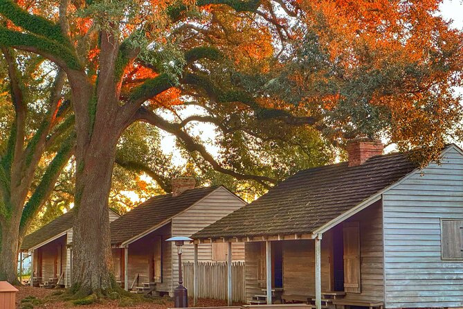 Exclusive Journey Through Louisiana's Plantations Review - Dining Experience at Oak Alley Plantation