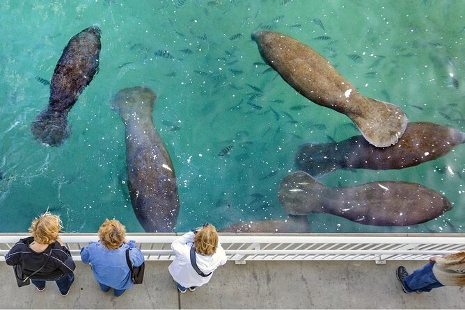 Explore Wildlife Sanctuaries on the WILD Palm Beaches Tour - Wildlife Sanctuaries Explored