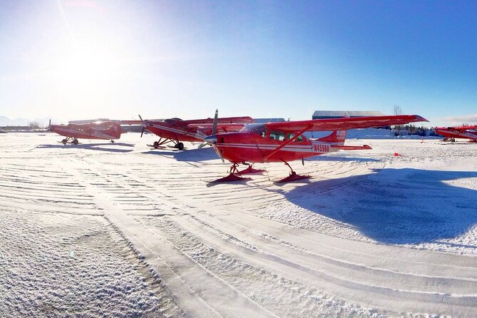 Exploring Anchorage on Winter Sundays Review - Pricing and Value for Money