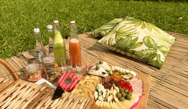 From Foz Do Iguaçu: Picnic at Iguazu Falls