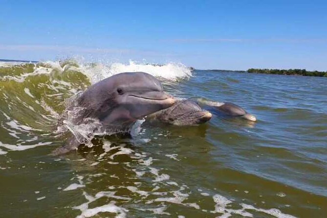 Full Day Everglades Combo Motorboat Eco and Kayak Tour - What to Expect