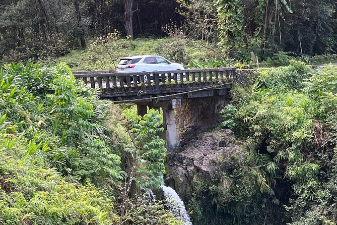 Full Day Small Group Tour of Maui Waterfall, Beach and Hana - Pricing and Booking Details