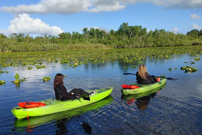 Guided Kayaking Manatee Tour Review - Review Summary and Recommendations