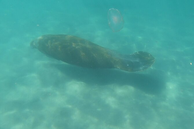 Guided Reef Snorkeling Tour Review in Pompano Beach - Health and Safety Protocols on the Tour