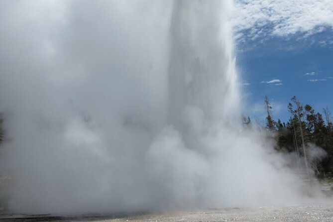 Guided Yellowstone Hot Spring Tour Review - Guide and Staff Interaction