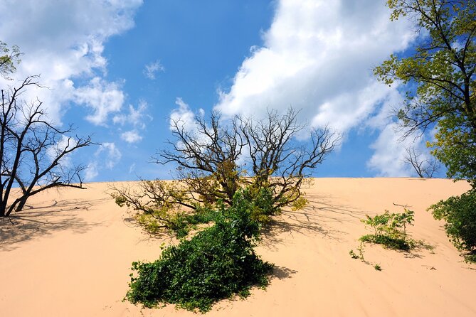Indiana Dunes National Park With Audio Tour Guide - Exploring the Dunes