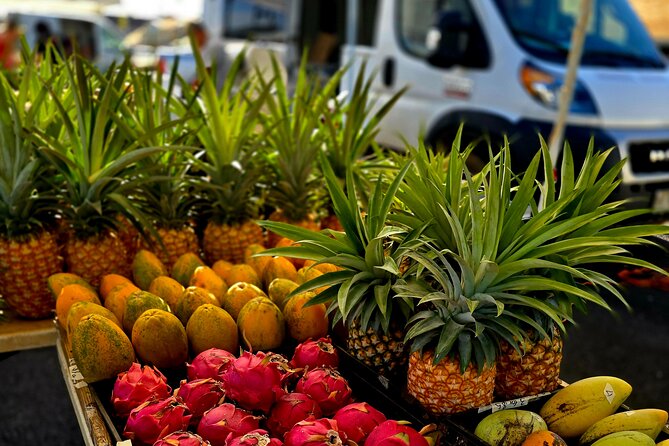 Kauai Hop On Hop Off Tour - Tour Highlights