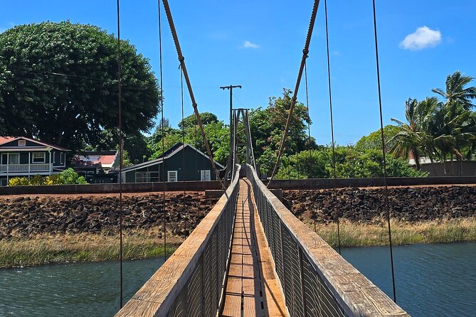 Kauai Island Day Trip From Oahu With Airfare Included - Health and Accessibility Considerations
