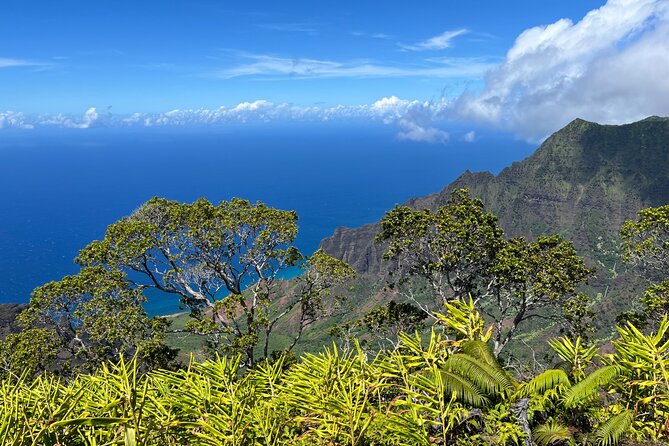 Kauai Island Private Guided Tour-Waimea Canyon From Poipu/Koloa - Frequently Asked Questions