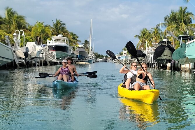 Kayak Through Mangrove Forests Review - Accessibility and Participation Information