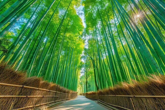 Kyoto Arashiyama: Fall Foliage Walking Tour【Autumns Limited】 - Cancellation Policy and Reviews