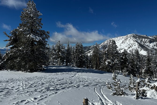 Lake Tahoe Snowshoe Rental Packages - Booking Your Snowshoe Experience