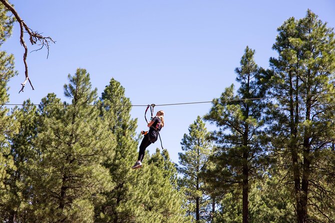 Ledgewood Adventure Course Review: An Exciting Experience - Pricing Information and Value