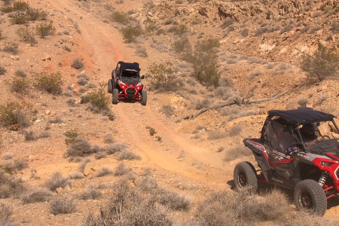 Mojave Desert Twilight RZR Quest, Las Vegas(Summer Months Only!:) - Twilight Adventure and Scenic Highlights