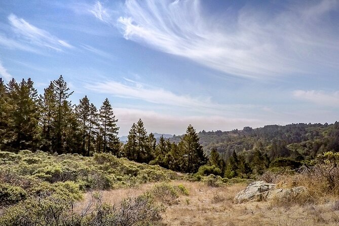 Muir Woods Self-Guided Driving and Walking Audio Tour - Explore the Majestic Muir Woods