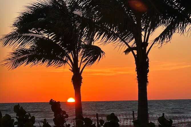 Naples Florida Sunset Tour -Trike Tour of Naples - Why Choose a Sunset Trike Tour in Naples?