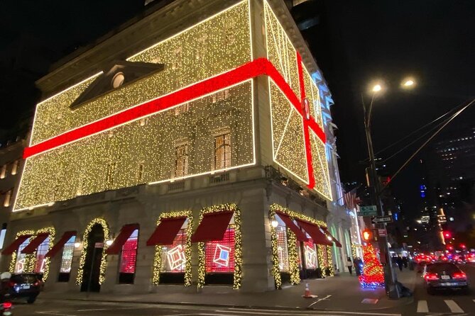 NYC Rockefeller Center Christmas Lights Ride Review - Accessibility Features