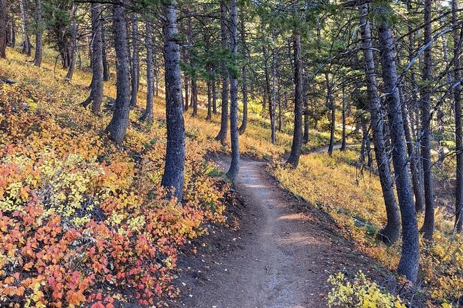 Park City Hiking Activity With Local Guide - Highlights of the Park City Trails
