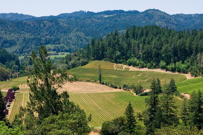 Private Group Wine Tours in Napa Valley - Frequently Asked Questions