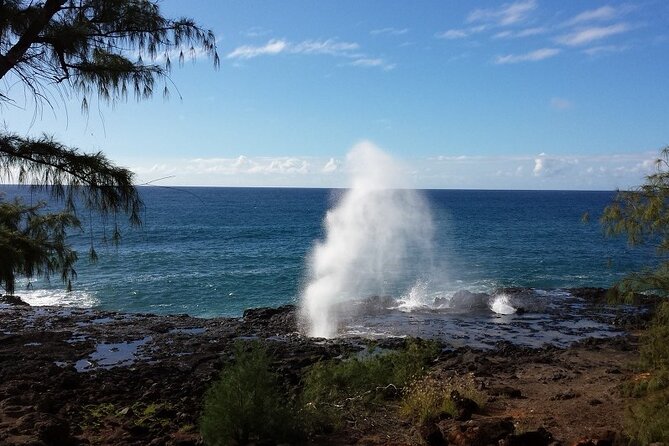 Private Kauai Island Tour : Waimea Canyon, Kalalau Lookout + More - Highlights of the Tour