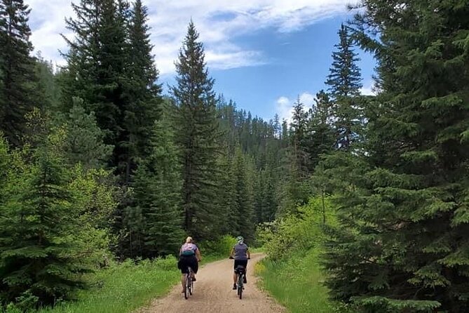Private Mickelson Trail Bike Tour - What to Expect on the Trail