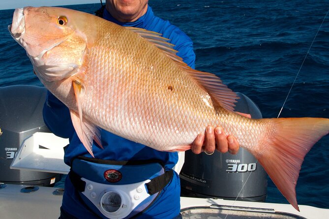 Private Patch Reef Fishing - Tips for Your Fishing Adventure