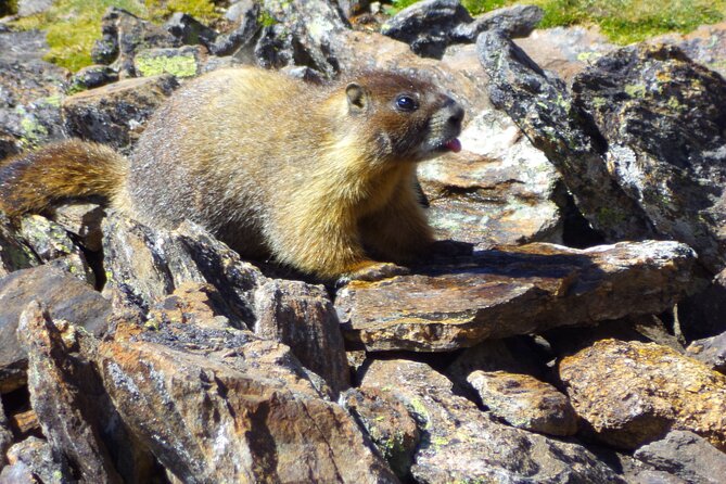 Private Rocky Mountain National Park Tour Review - Cancellation Policy Insights