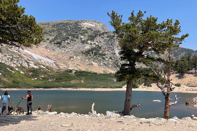 Private Tour Hiking to Saint Marys Glacier, Red Rock and Hot Springs - Highlights of the Tour