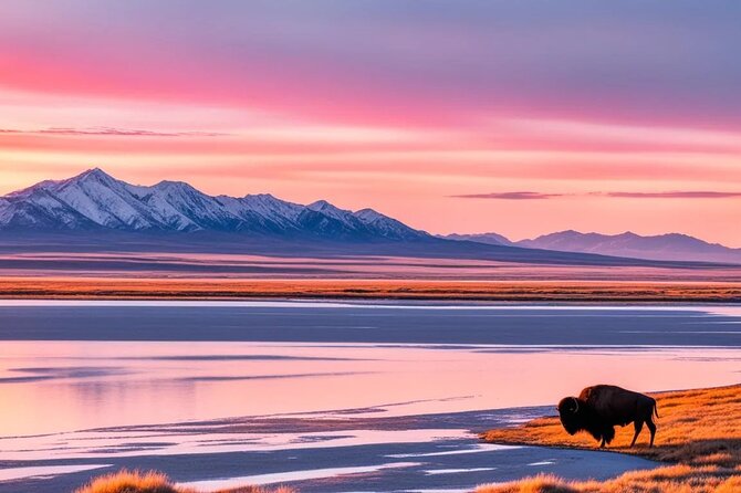 Private Wildlife and Scenic Tour on Antelope Island - Wildlife Sightings and Encounters