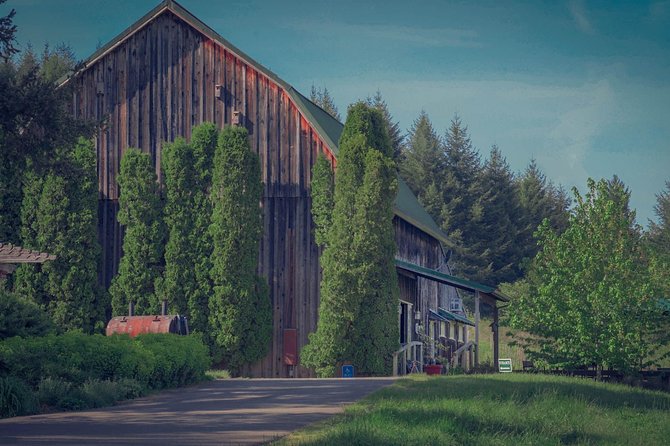Private Wine Tour Review: Oregon's Best Experience - Transport and Accessibility Options