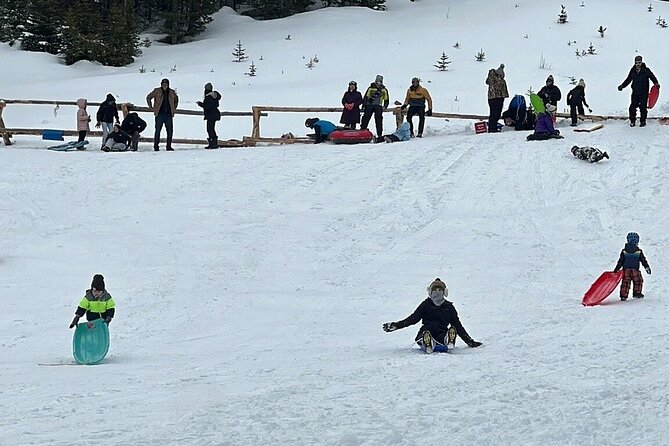 Private Winter Tour + Sledding in Rocky Mountain National Park - Experience Highlights