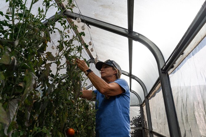 Pueo Farm Private Tour - Upcountry Maui Hawaii - What to Expect