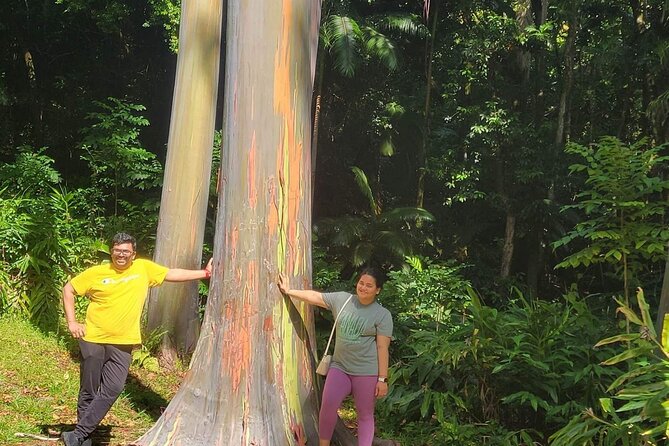 Road to Hana Full Day Tour Review - Guide Expertise and Interaction
