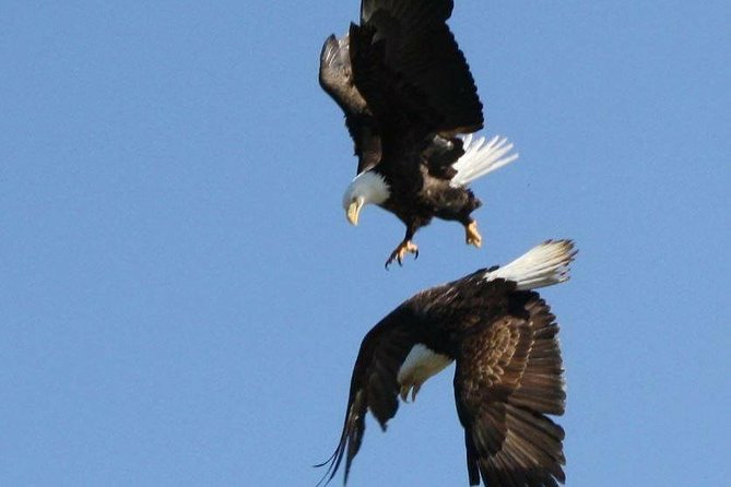 Saltwater Expedition Sightseeing & Wildlife Review - Passenger Experiences and Crew Interaction