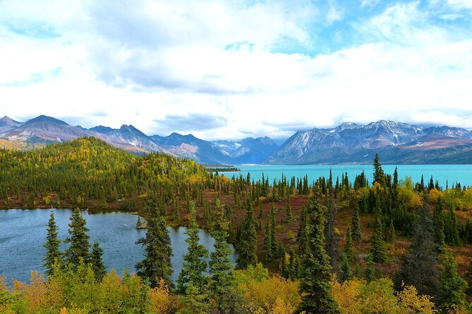 Seward Cruise Ship to Anchorage Transfer Review - Accessibility and Special Requirements