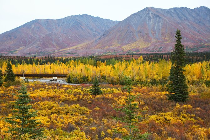 Shared Fairbanks to Denali National Park Entrance Transport - Frequently Asked Questions