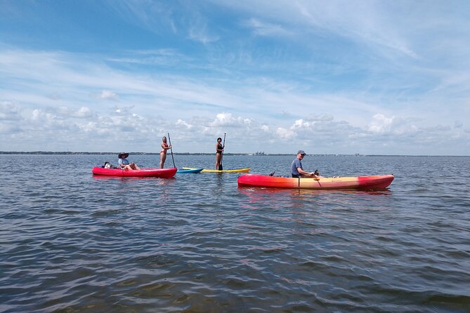 Single Kayak Rental Review: Manatees and Dolphins - Equipment and Safety Measures