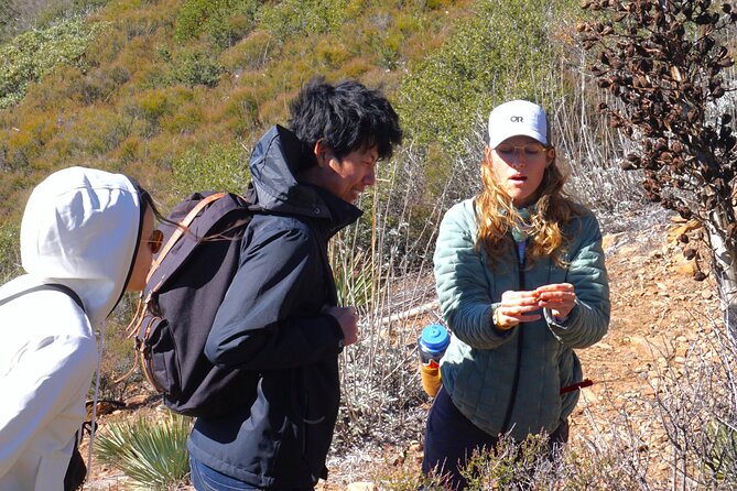 Small Group Hike Through San Diegos Heart and Soul - Exploring San Diegos Natural Wonders