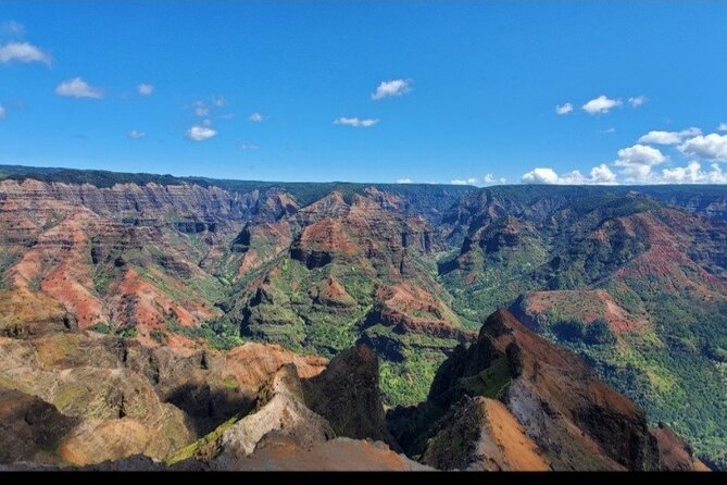 Small Group One Day Trip Kauai Island Review - Important Accessibility and Health Information