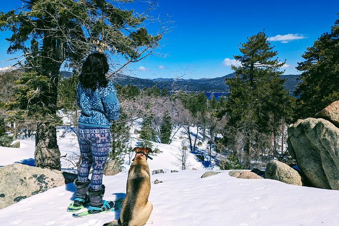 Snowshoe Tour Big Bear Lake Review - Pricing and Booking Information