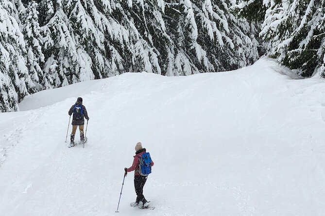 Snowshoeing at Crystal Mountain by Mount Rainier - Navigating the Gondola and Scenic Viewpoints