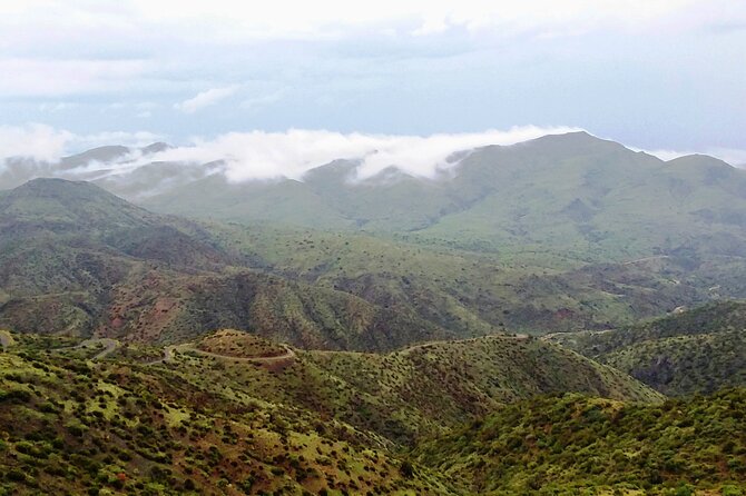 Sonoran Desert To MountainTop Jeep Tour Review - Tips for Making the Most of Your Tour Experience