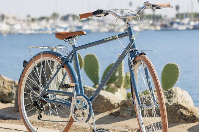 St Pete E-Bike Rentals Review: A Fun Adventure - Operating Hours and Seasonal Availability