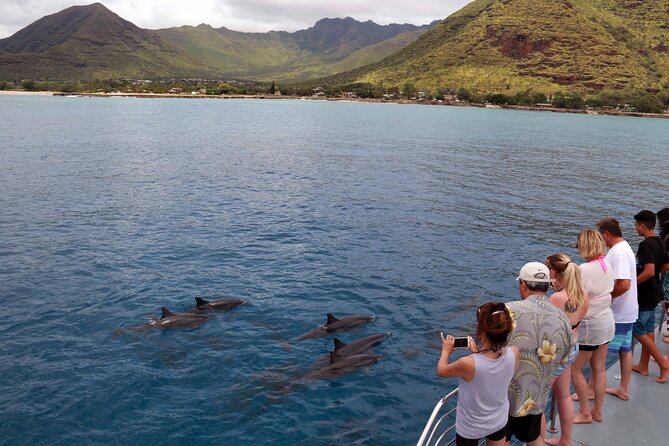 Sunset Dolphin Watch and Snorkeling Cruise Review - Evaluating the Value for Money