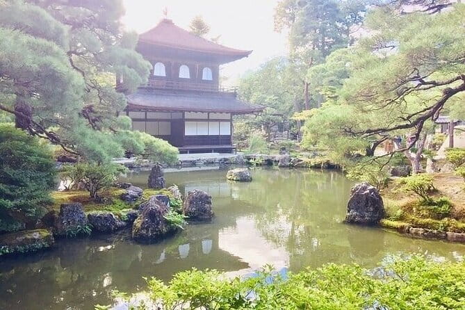 The Art of Geisha: Exclusive Show & Traditional Japanese Game - Insights From the Knowledgeable Tour Guide
